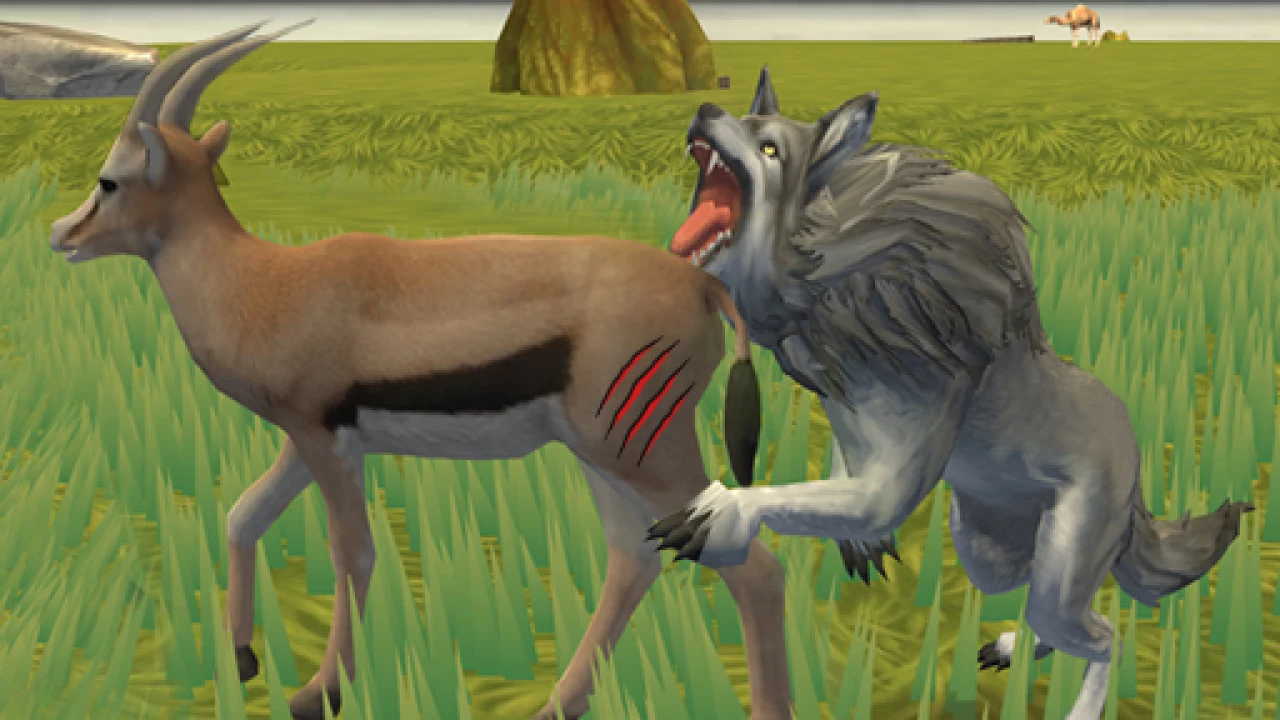 Relaxing 3D Adventure in Wolf Life Simulator image