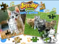 Jigsaw Puzzle Cats Kitten